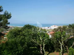 Photo du bien